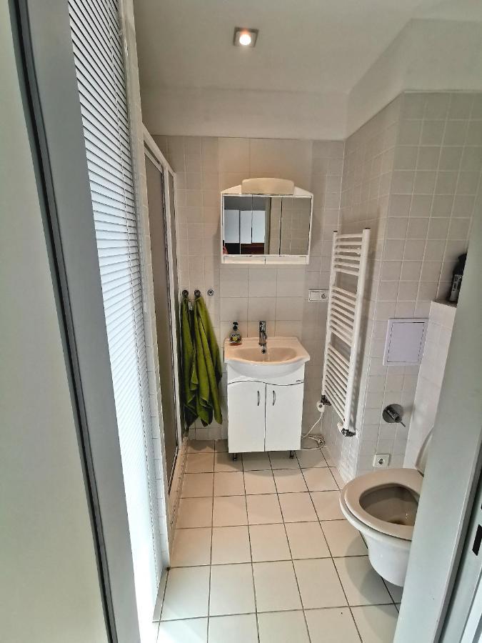 Apartman Mustang Klinovec Loučná pod Klínovcem Eksteriør bilde